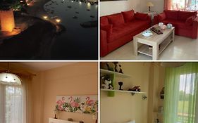 Alexandra'S House Nea Fokaia